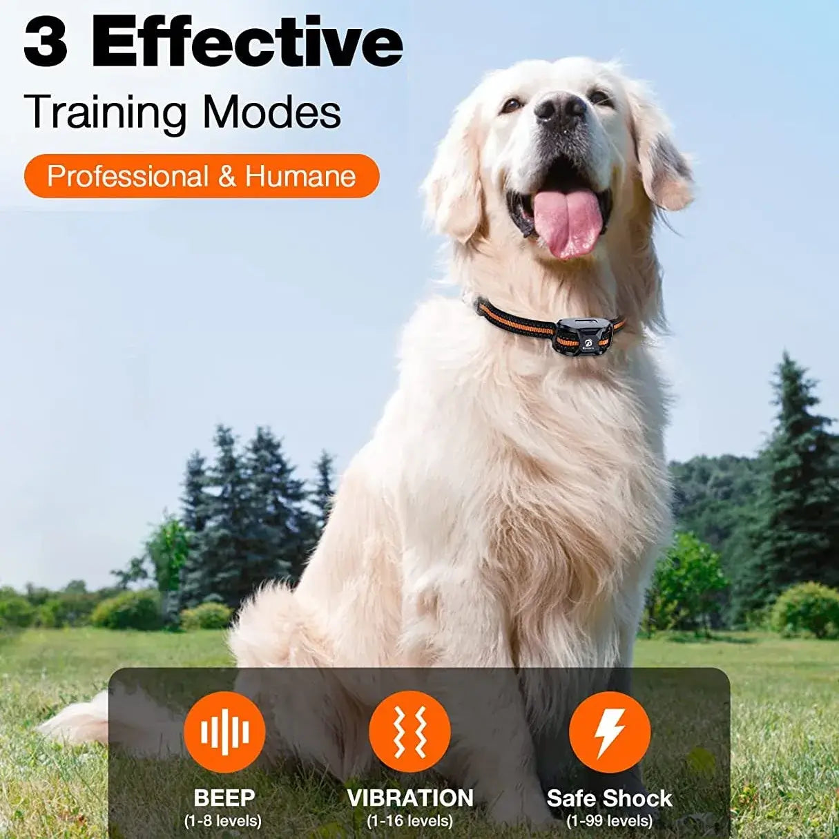 Dog wearing a training collar with three effective training modes displayed on a grassy field.