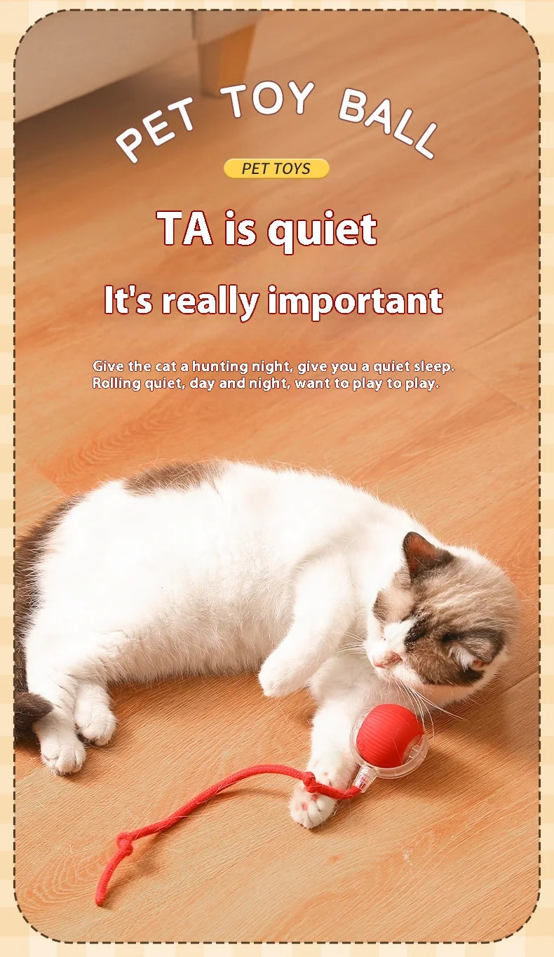 Cat playing with a red toy ball on a wooden floor, with text about pet toys.


