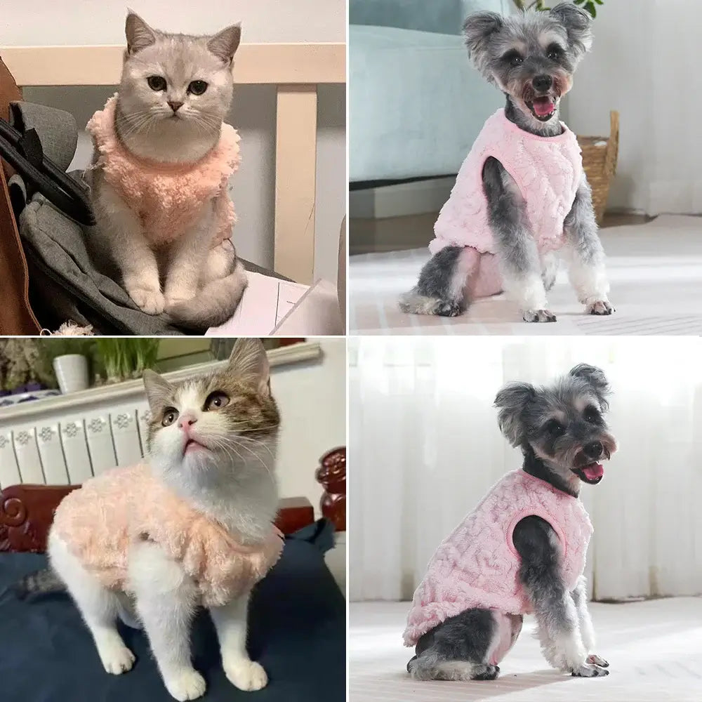 This image shows the fleece jacket being worn by small cats & dogs
