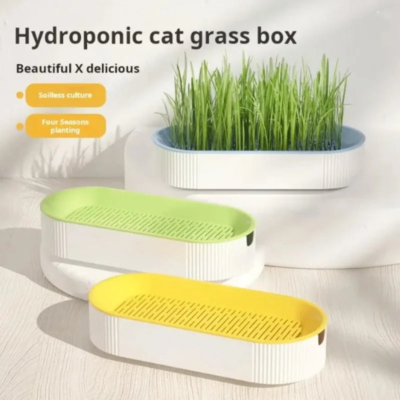 Hydroponic cat grass box with green and yellow compartments on a light background