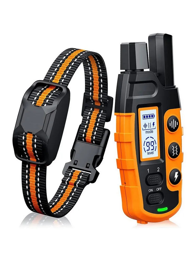 Dog training collar with remote control on a white background

