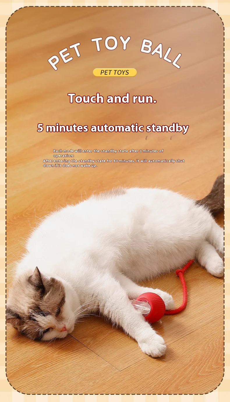 Interactive Cat Ball Toy – Smart Automatic Rolling Ball