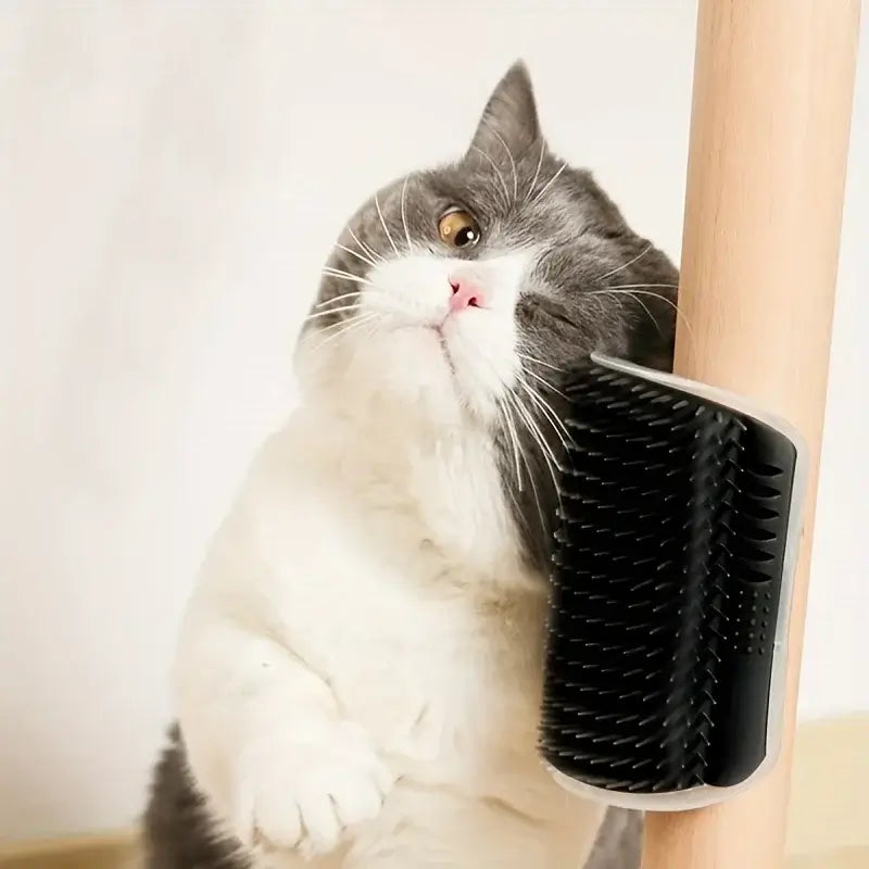 Cat using a self-grooming brush on a wooden surface

