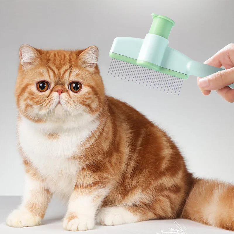 Cat being groomed with a green pet grooming brush on a light gray background