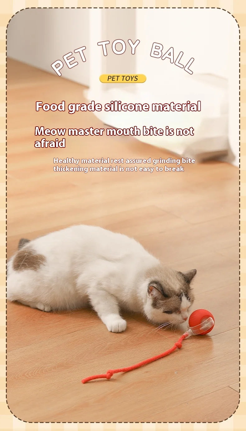 Cat playing with a red toy ball on a wooden floor, with text about pet toy ball material and safety.

