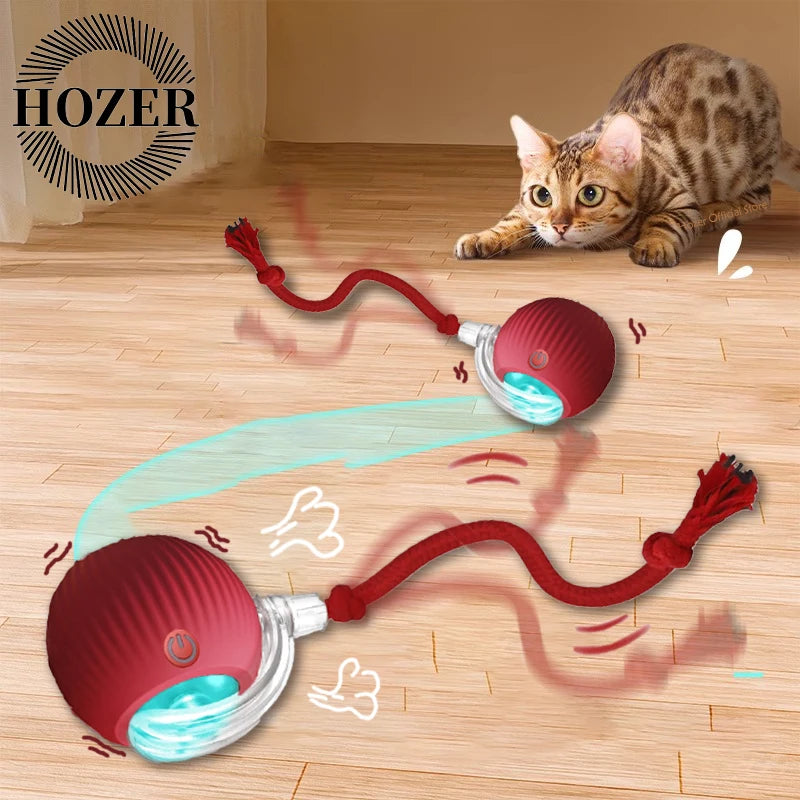Cat toy with red string and red ball on a wooden floor, with a cat looking at it.

