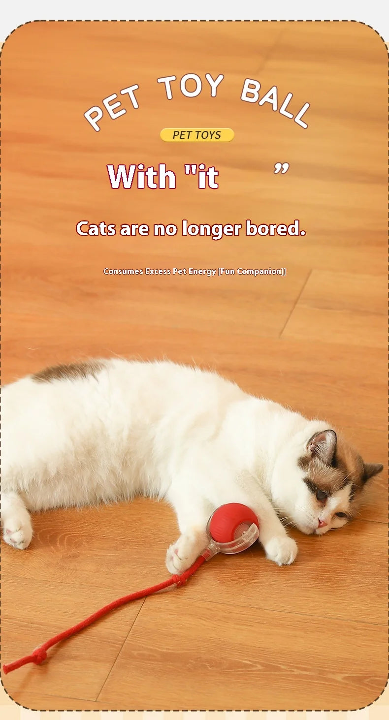 Cat playing with a red toy on a wooden floor, with promotional text about a pet toy ball.

