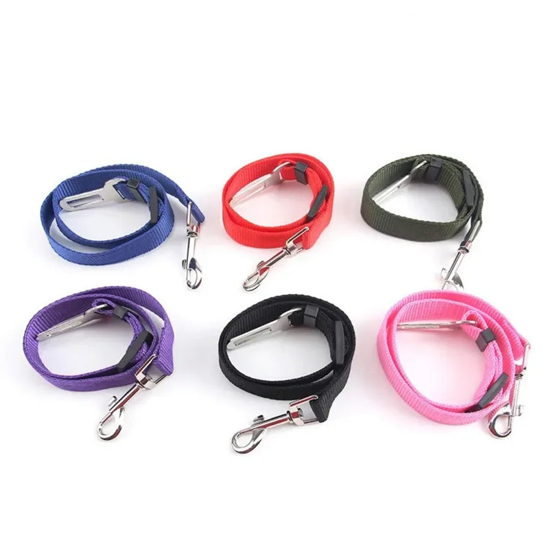 Set of six colorful dog leashes with metal clips on a white background

