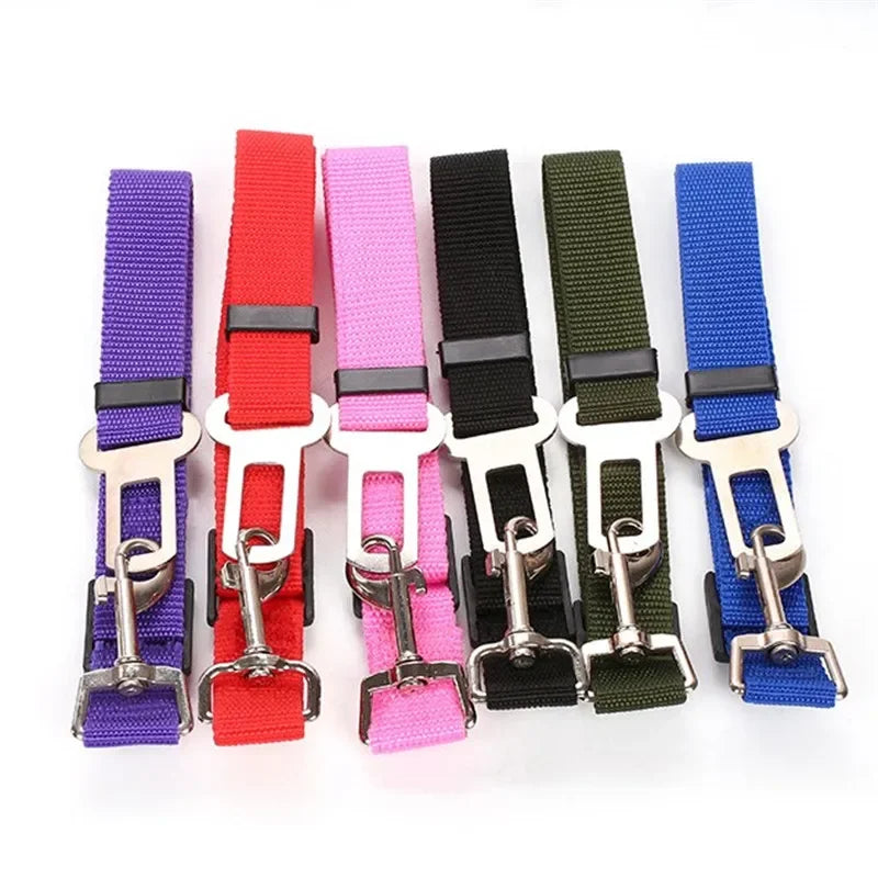 Set of colorful dog collars with metal buckles on a white background

