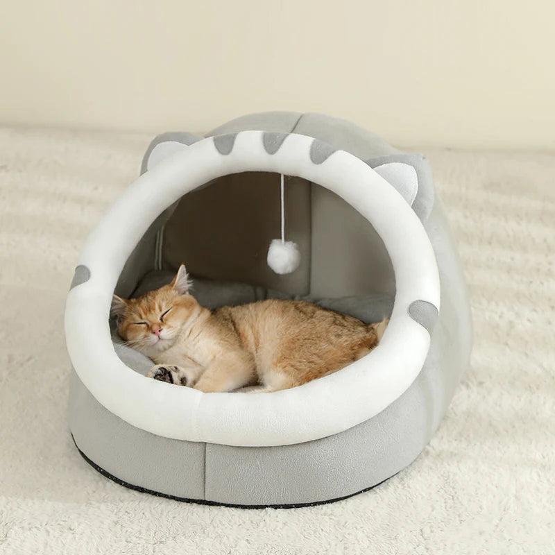 Cat lying in a gray pet bed with cat ears on a beige carpet

