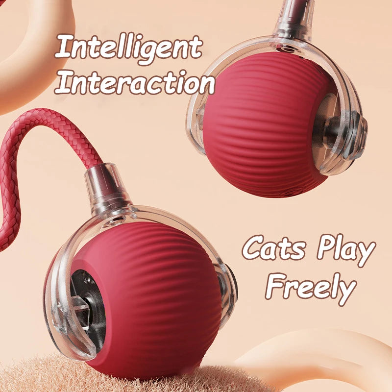Two red cat toys with a pink string on a beige background, labeled 'Intelligent Interaction' and 'Cats Play Freely'.


