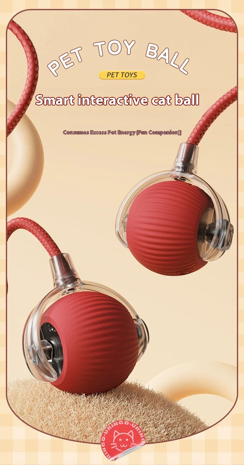 Red pet toy ball with a rope on a beige background

