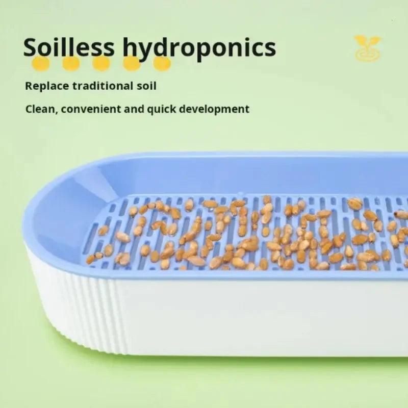 Soilless hydroponics system with seeds on a green background

