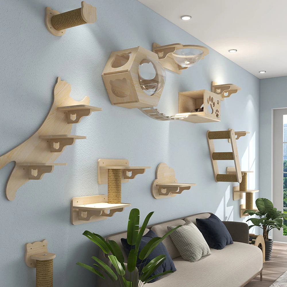 Wooden cat climbing shelves on a light blue wall with a sofa and plants below.

